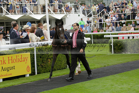 Race 6 Goodwood The British Stallion Studs Turf Club E.B.F. Fillies Stakes. 20130731. Race winner Ribbons owner Elite Racing Club
