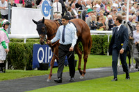 Race 6 Goodwood The British Stallion Studs Turf Club E.B.F. Fillies Stakes. 20130731. Race winner Ribbons owner Elite Racing Club