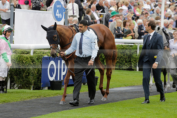 Race 6 Goodwood The British Stallion Studs Turf Club E.B.F. Fillies Stakes. 20130731. Race winner Ribbons owner Elite Racing Club