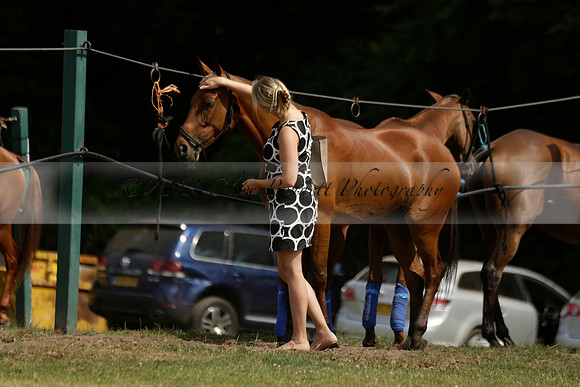 El Remanso v Sumaya in a Veuve Clicquot Gold Cup Polo Match 2013.07.13