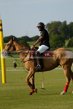 Shoreline v Cowdray Vikings in a Easebourne Cup Semi-final Polo match 2013.06.07