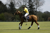 Maiz Dulce v Las Estrellas in a Barrett Cup Polo match 2013.04.27