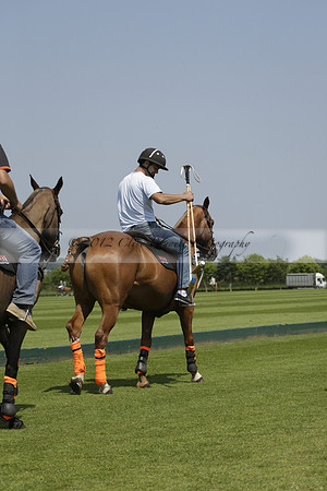 Four Quarters Orange v Montana in a Cicero Cup Polo match 2013.06.06