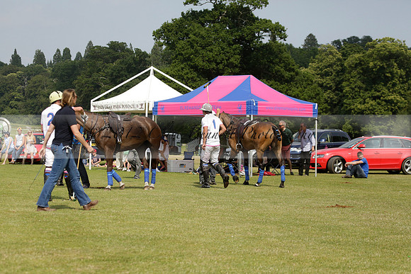 El Remanso v Sumaya in a Veuve Clicquot Gold Cup Polo Match 2013.07.13