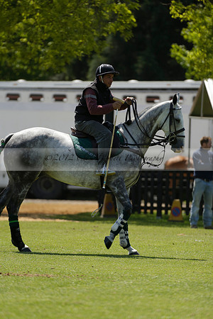 Black Bears v Salkeld in a Cartier Queens Cup polo match 2013.06.05