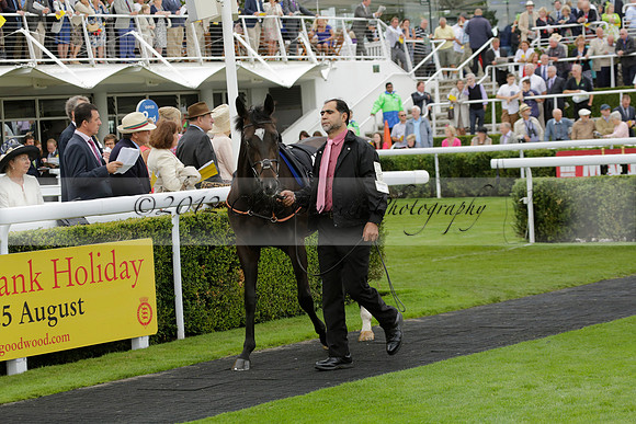 Race 6 Goodwood The British Stallion Studs Turf Club E.B.F. Fillies Stakes. 20130731. Race winner Ribbons owner Elite Racing Club