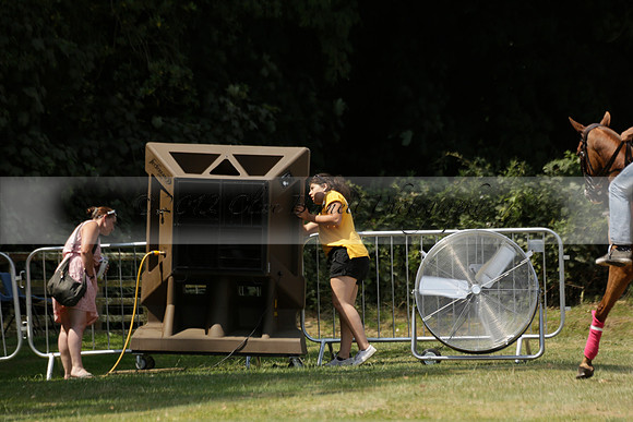 Zacara v Talandracas in a Veuve Clicquot Gold Cup Polo Match 2013.07.18