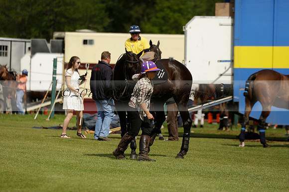 Las Estrellas v Four Quarters Blue in the final of the Jubilee Cup Polo match 2013.06.02