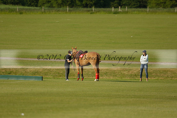 Shoreline v Cowdray Vikings in a Easebourne Cup Semi-final Polo match 2013.06.07