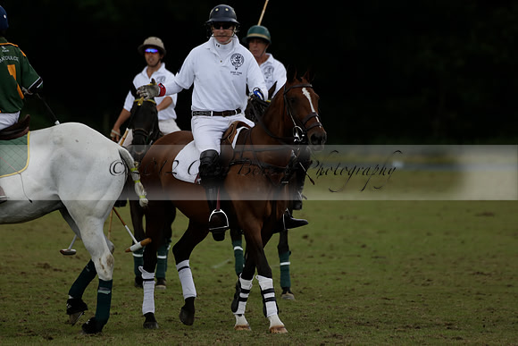 The Blue Jackets Cup polo match played between Maize Dulce (green) vs Home Farm (white) At the New Forest Polo Club on Sunday 18 August 2013