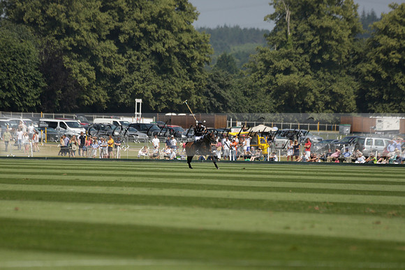 Zacara v Talandracas in a Veuve Clicquot Gold Cup Polo Match 2013.07.18