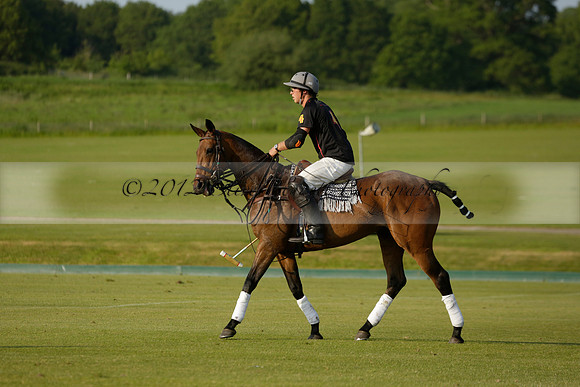 Shoreline v Cowdray Vikings in a Easebourne Cup Semi-final Polo match 2013.06.07