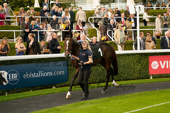 _CAB7985