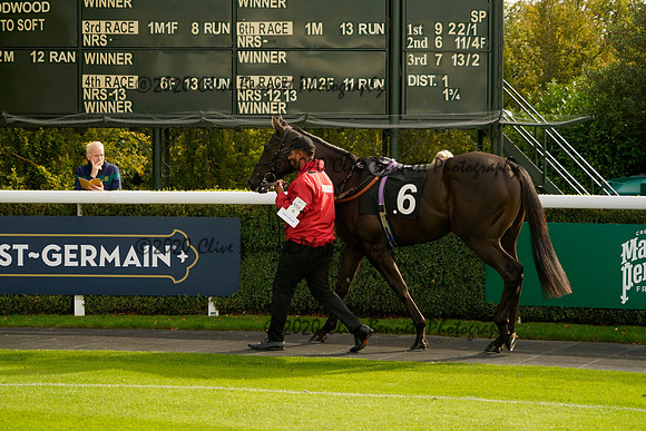 _CAB8397