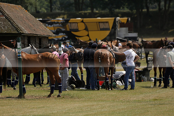 Cowdray Vikings v Enigma in a Bloom British Ladies Open Championship Polo match 2013.07.17