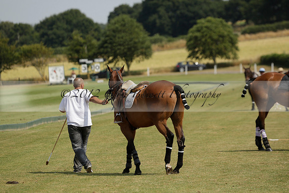 Cowdray Vikings v Enigma in a Bloom British Ladies Open Championship Polo match 2013.07.17