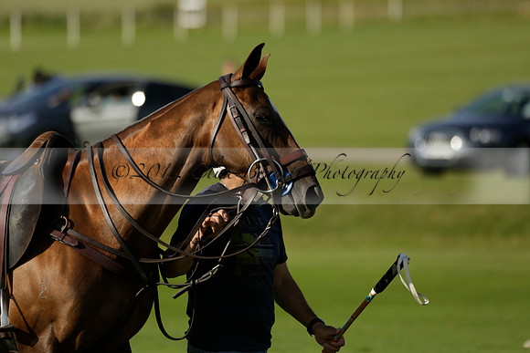 El Remanso v Emlor in a Veuve Clicquot Gold Cup Polo Match 2013.06.30