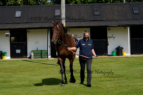 _CAB3544
