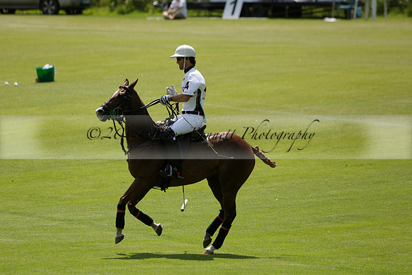 UAE Polo v El Remanso in a Veuve Clicquot Gold Cup Polo Match 2013.07.05