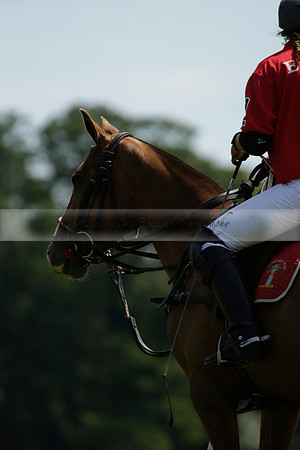Maiz Dulce v Emlor in a Barrett Cup Polo match 2013.06.30