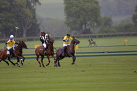 Hollycombe v Maiz Dulce in a Dollar Cup Polo match 2013.05.24