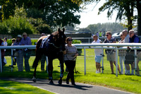 Race 6 The Betting.Bet Free Bets Novices Limited Handicap Hurdle Race 2026.09.22