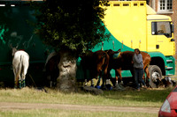 Wilde Cup polo match played between Mount Loftus (red) vs New Forest (green) At the New Forest Polo Club on Sunday 18 August 2013