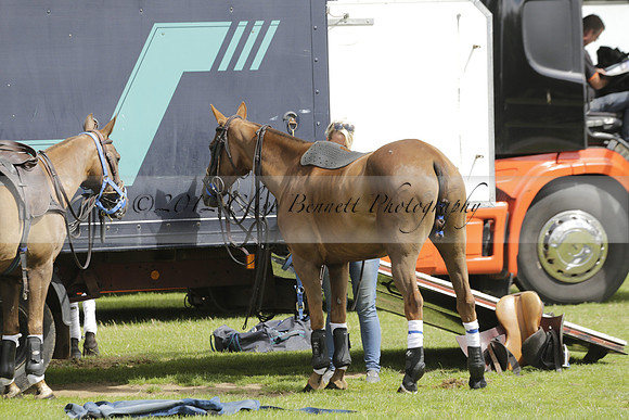 Burningfold (blue) v Wairakei Pastoral (green) in the Ruins Cup Final on Sunday 04 August 2013.