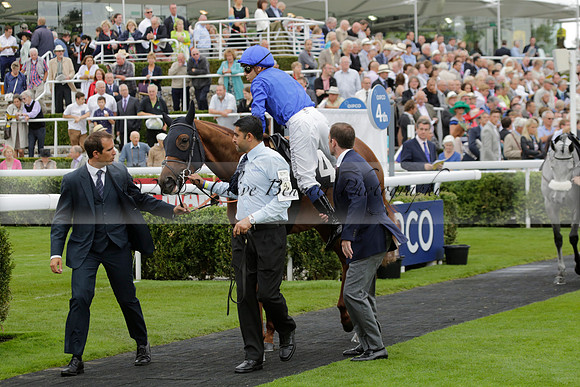 Race 6 Goodwood The British Stallion Studs Turf Club E.B.F. Fillies Stakes. 20130731. Race winner Ribbons owner Elite Racing Club