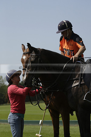 Four Quarters Orange v Montana in a Cicero Cup Polo match 2013.06.06