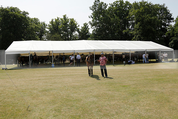 Zacara v Talandracas in a Veuve Clicquot Gold Cup Polo Match 2013.07.18