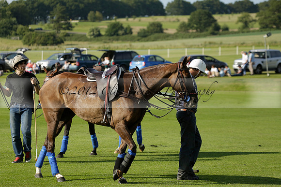 El Remanso v Emlor in a Veuve Clicquot Gold Cup Polo Match 2013.06.30