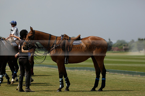 Silver Fox v Wintershall in a July 4 Goal Polo match 2013.07.17