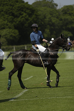 Four Quarters Orange v Montana in a Cicero Cup Polo match 2013.06.06