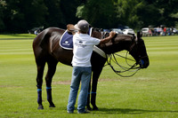 Twelve Oaks v HB Polo in a Veuve Clicquot Gold Cup Polo Match 2013.06.30