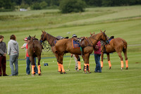 Enigma v Thai Polo in a Veuve Clicquot Gold Cup Polo Match 2013.06.25