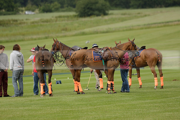 Enigma v Thai Polo in a Veuve Clicquot Gold Cup Polo Match 2013.06.25