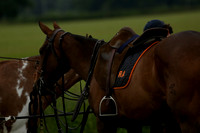 Maiz Dulce v Four Quarters Black in a Benson Cup Polo match 2013.06.19