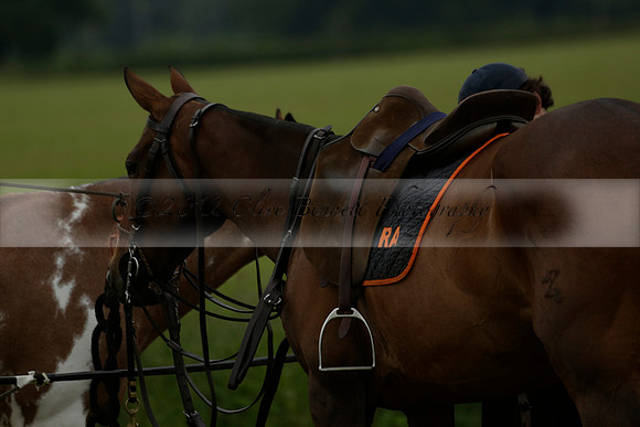 Maiz Dulce v Four Quarters Black in a Benson Cup Polo match 2013.06.19