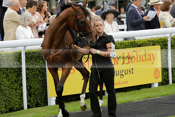 Race 6 Goodwood The British Stallion Studs Turf Club E.B.F. Fillies Stakes. 20130731. Race winner Ribbons owner Elite Racing Club