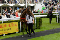 Race 6 Goodwood The British Stallion Studs Turf Club E.B.F. Fillies Stakes. 20130731. Race winner Ribbons owner Elite Racing Club