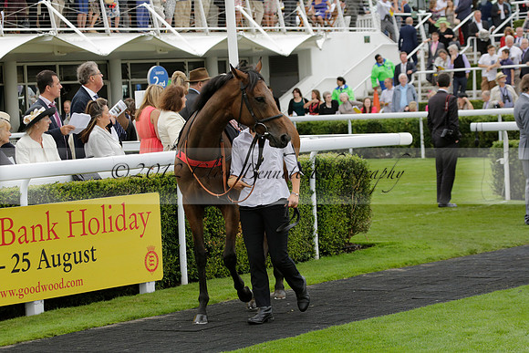 Race 6 Goodwood The British Stallion Studs Turf Club E.B.F. Fillies Stakes. 20130731. Race winner Ribbons owner Elite Racing Club