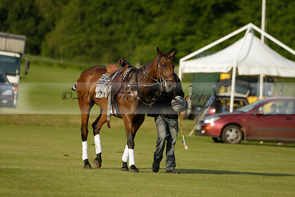 Shoreline v Cowdray Vikings in a Easebourne Cup Semi-final Polo match 2013.06.07