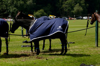 Twelve Oaks v HB Polo in a Veuve Clicquot Gold Cup Polo Match 2013.06.30