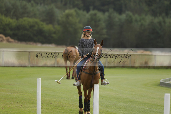 Beau Design v Boscom in an August Rother Cup 4 goal polo match at Cowdray Park Polo Club on Wednesday 07 August 2013