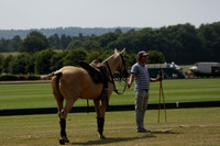 Silver Fox v Wintershall in a July 4 Goal Polo match 2013.07.17