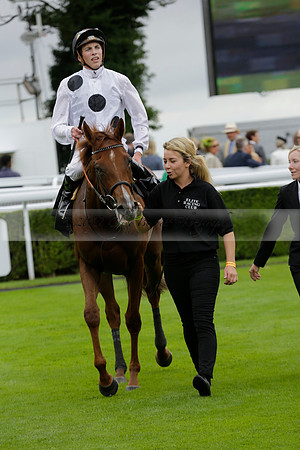 Race 6 Goodwood The British Stallion Studs Turf Club E.B.F. Fillies Stakes. 20130731. Race winner Ribbons owner Elite Racing Club