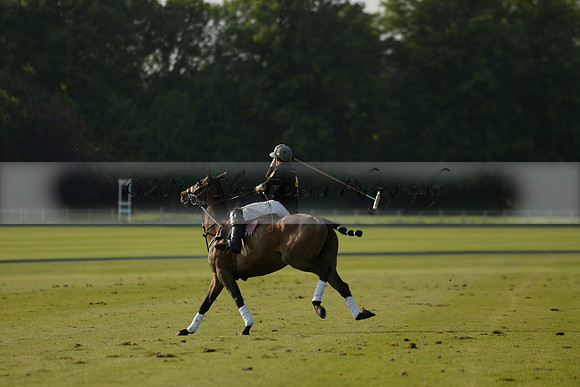 Shoreline v Cowdray Vikings in a Easebourne Cup Semi-final Polo match 2013.06.07