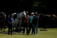 Dell Park  v La Indiana in a Jaeger Le Coultre Duke of Sutherland Cup Polo match 2013.05.27