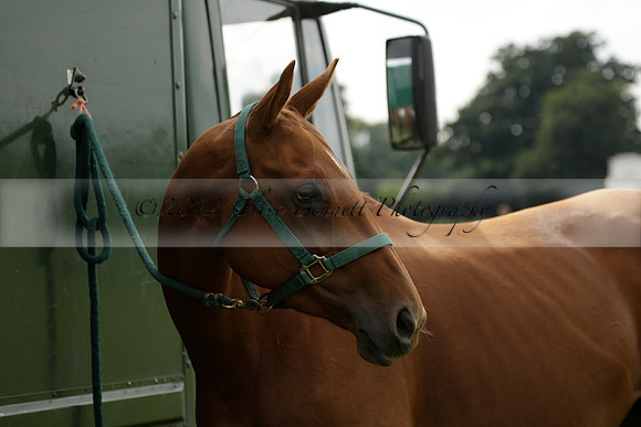 Beau Design v Boscom in an August Rother Cup 4 goal polo match at Cowdray Park Polo Club on Wednesday 07 August 2013
